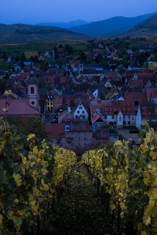 An Autumn in Alsace 2