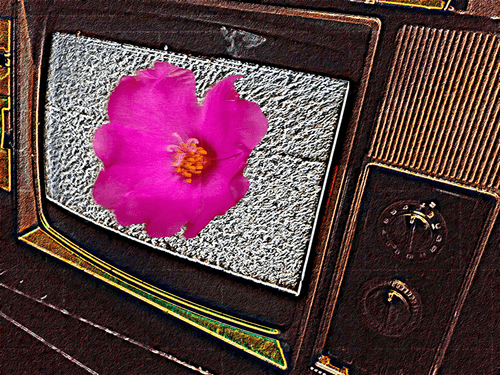 Aesthetic Lie In Pink