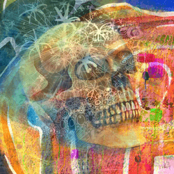 Karrie Ross Blended: Skulls collection image
