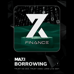 X7 Borrowing Maxi collection image