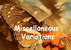 Butterflies (Color variations) collection image