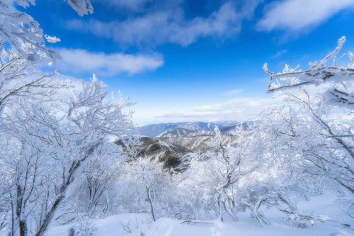 Japanese natural landscape photography