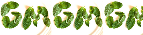 The Free Mint