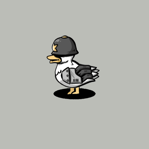 Duck #3593