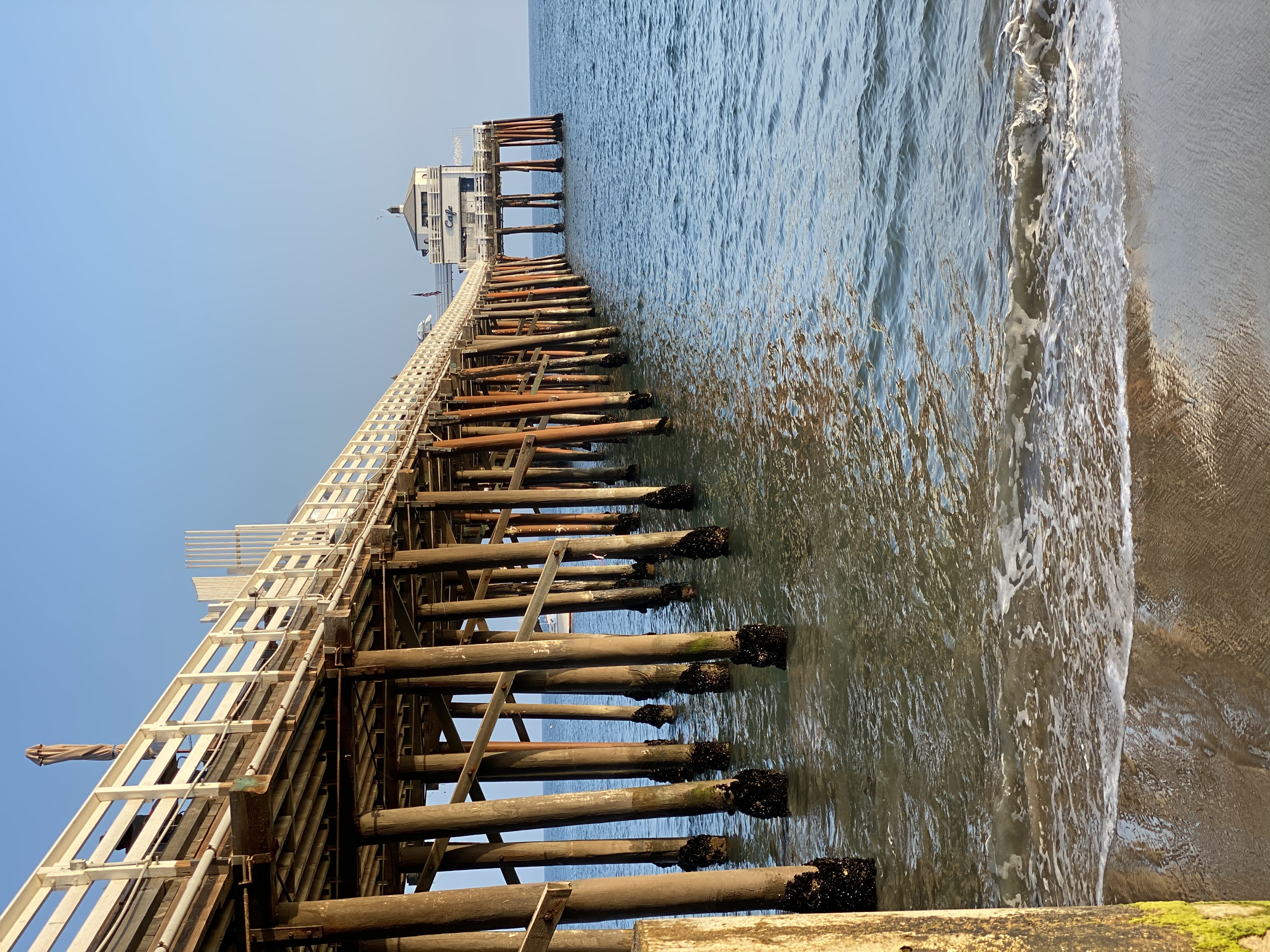 britishdon.eth Ethereum Name Service (ENS and .eth domain) PFP