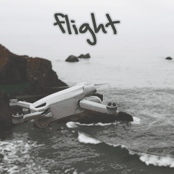 Flight: Editions collection image
