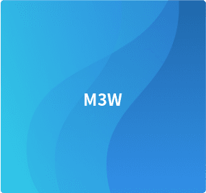 M3W