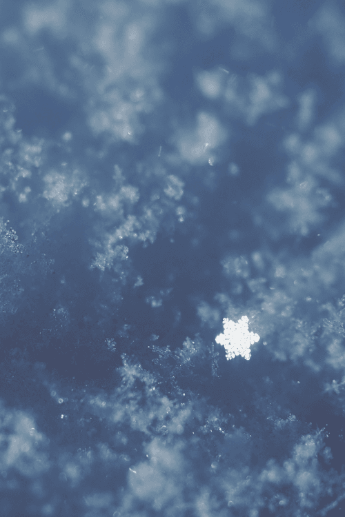 Crystal Snow #002