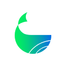 WhaleFin Collections - Ethereum