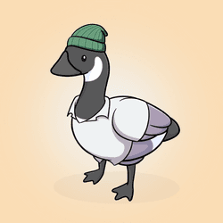 Honk #4094
