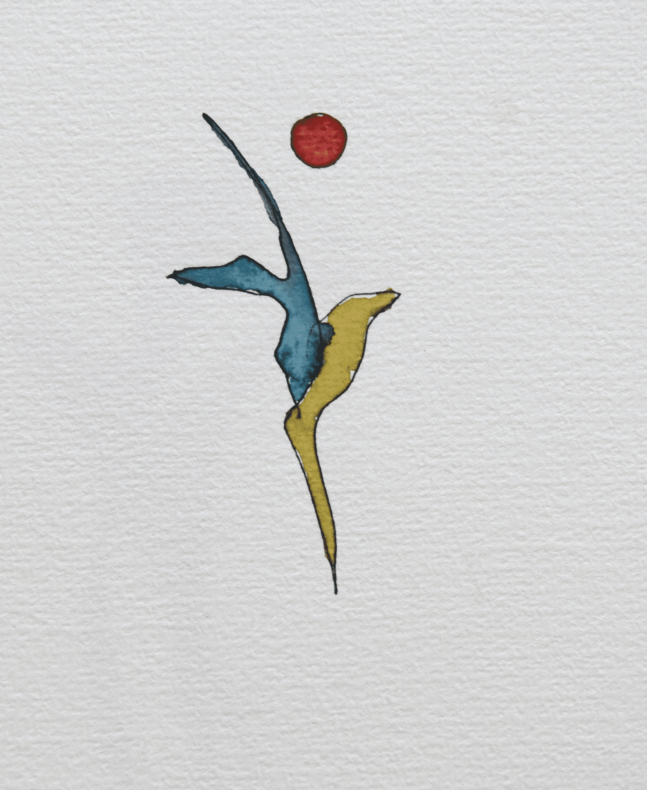 little bird illustration