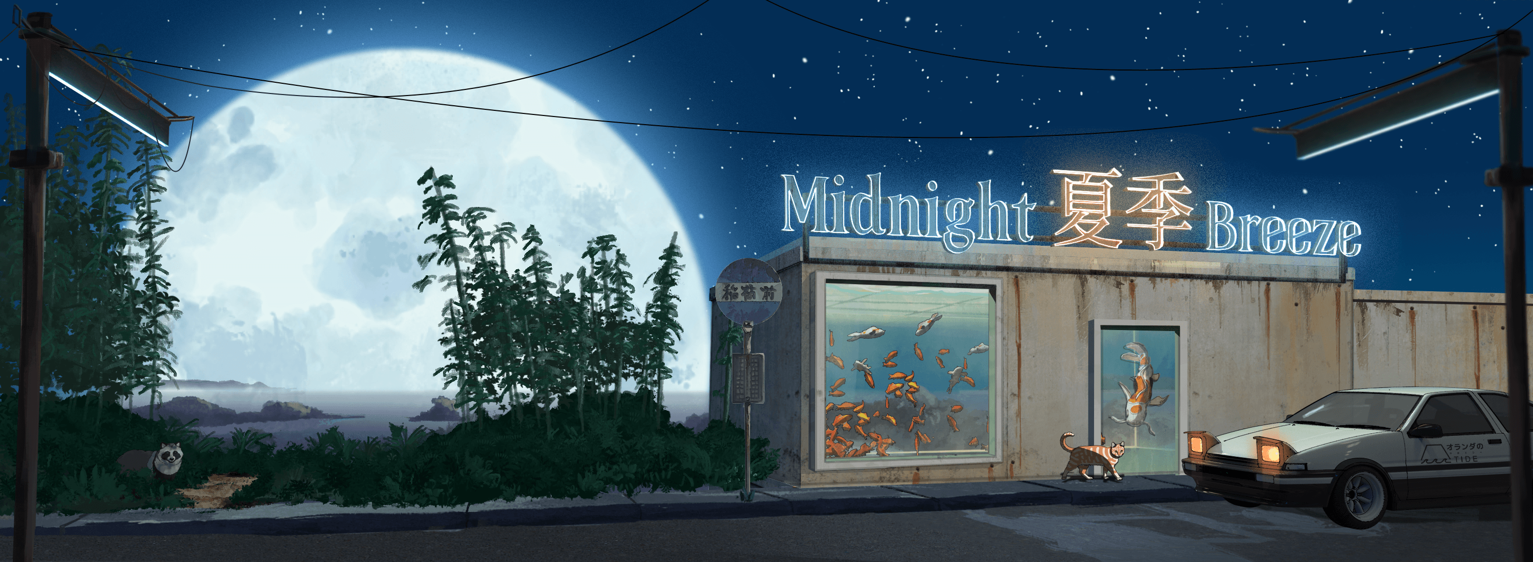 Midnight-Clouds-Vault banner