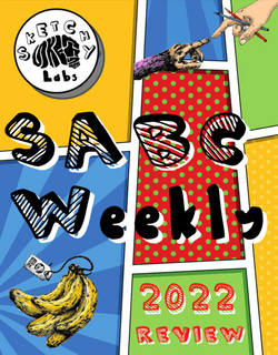 SABC Weekly 2022 Review collection image