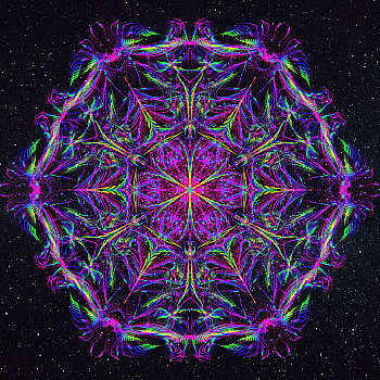 Visionary Mandala