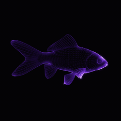 CryptoFish collection image