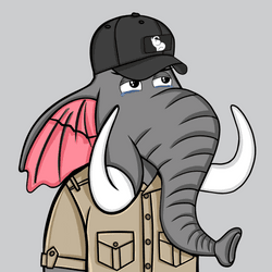 Untamed Elephant #6351