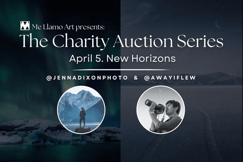 Me Llamo Art Charity Auction Day 3. "New Horizons"