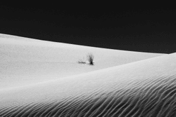Black / White Sands collection image