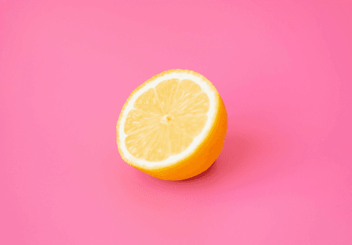 Pet lemon