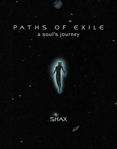 Paths of Exile - A Soul's Journey
