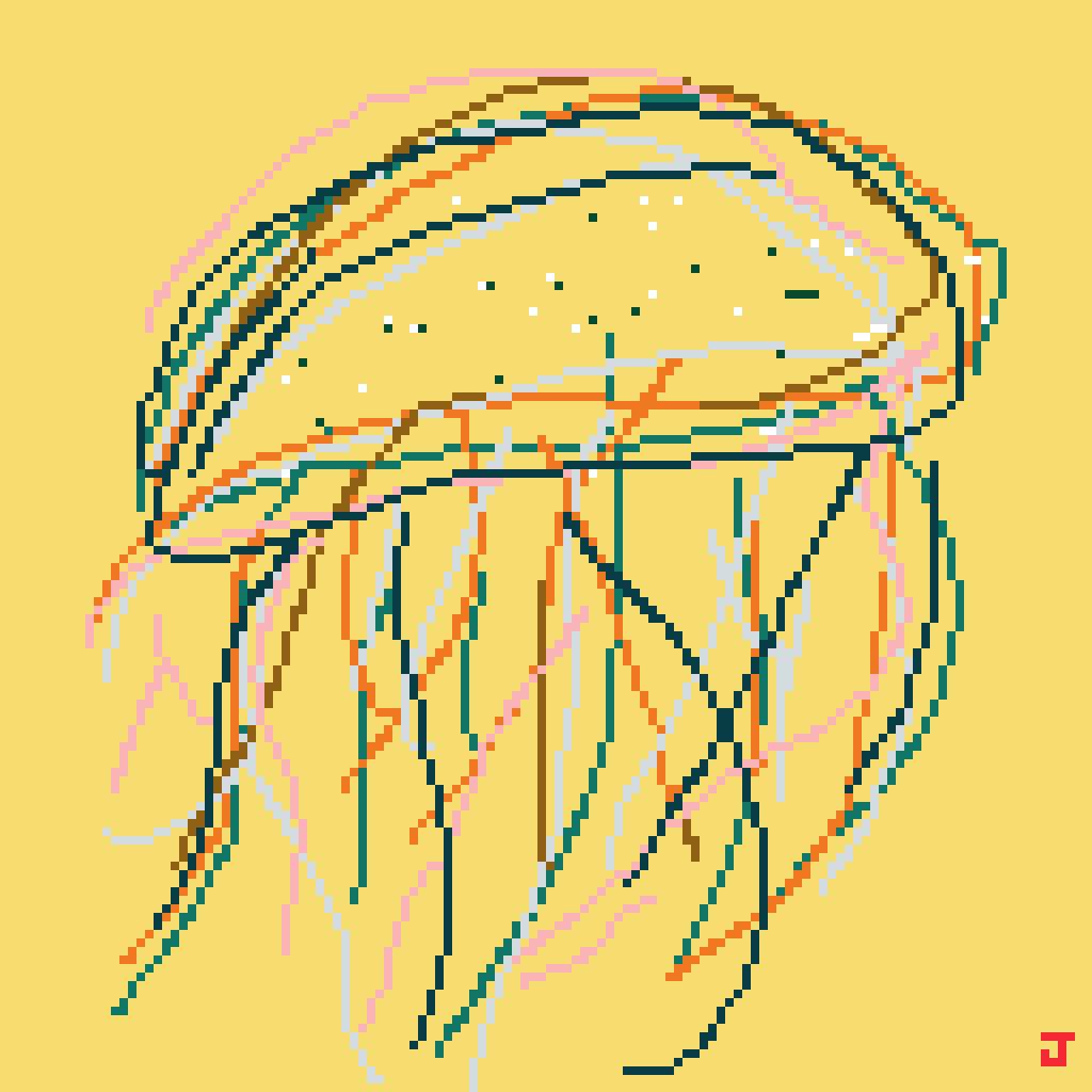 Jellyfish Jelly