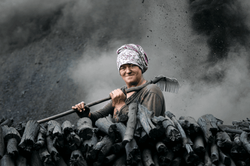 Editions by Fatih Mehmet Ozdemir