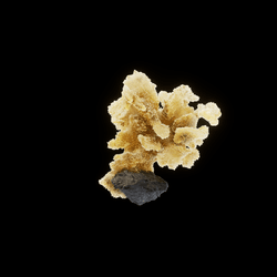 OG:Crystal 10162