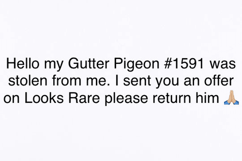 Gutter Pigeon 1591