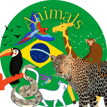 Animals by Renan