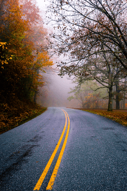 Fog on the Blue Ridge Parkway Edition collection image