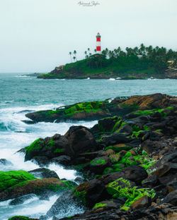 Kerala - The Gods own Country collection image