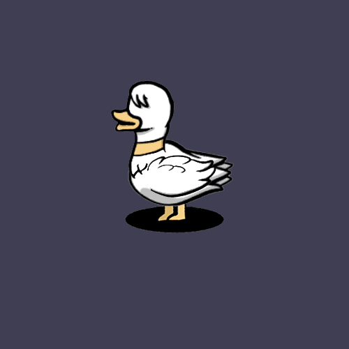 Duck #157
