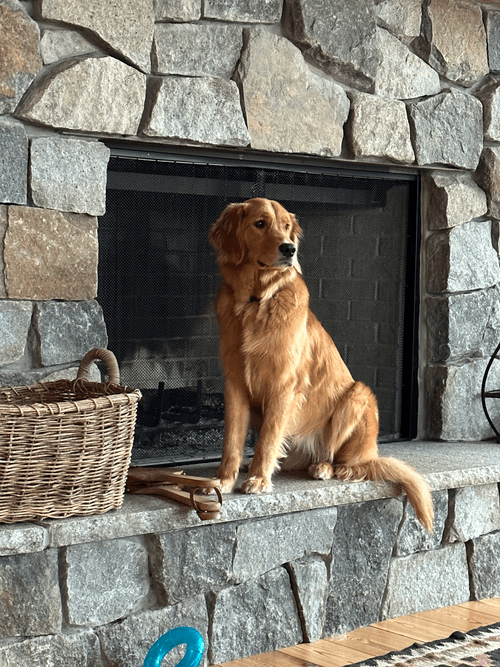 Chilling on the Fireplace