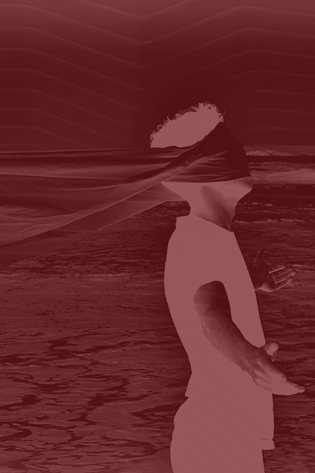 The Book of Lilies: New & Selected Poems