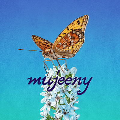 mujeeny Collection 1