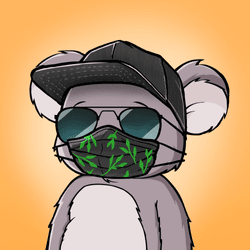 Koala Agent #8373