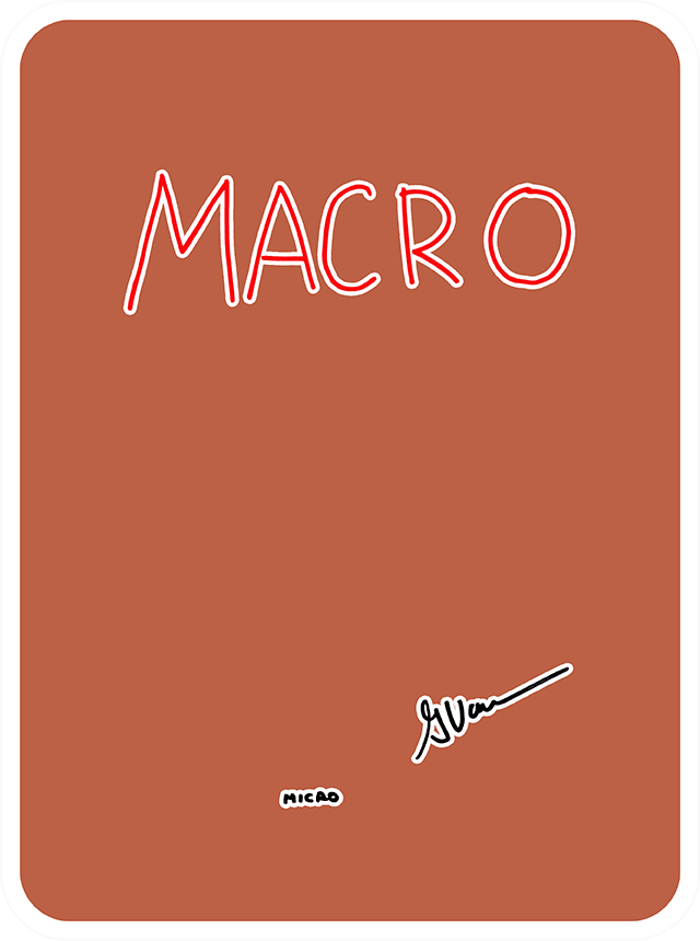 Macro Micro