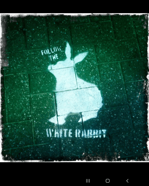 Follow the White Rabbit Eth