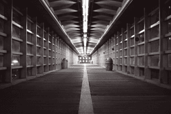 Black and white photograph of a pedestrian tunnel lined by a grid of windows, one-point pe collection image