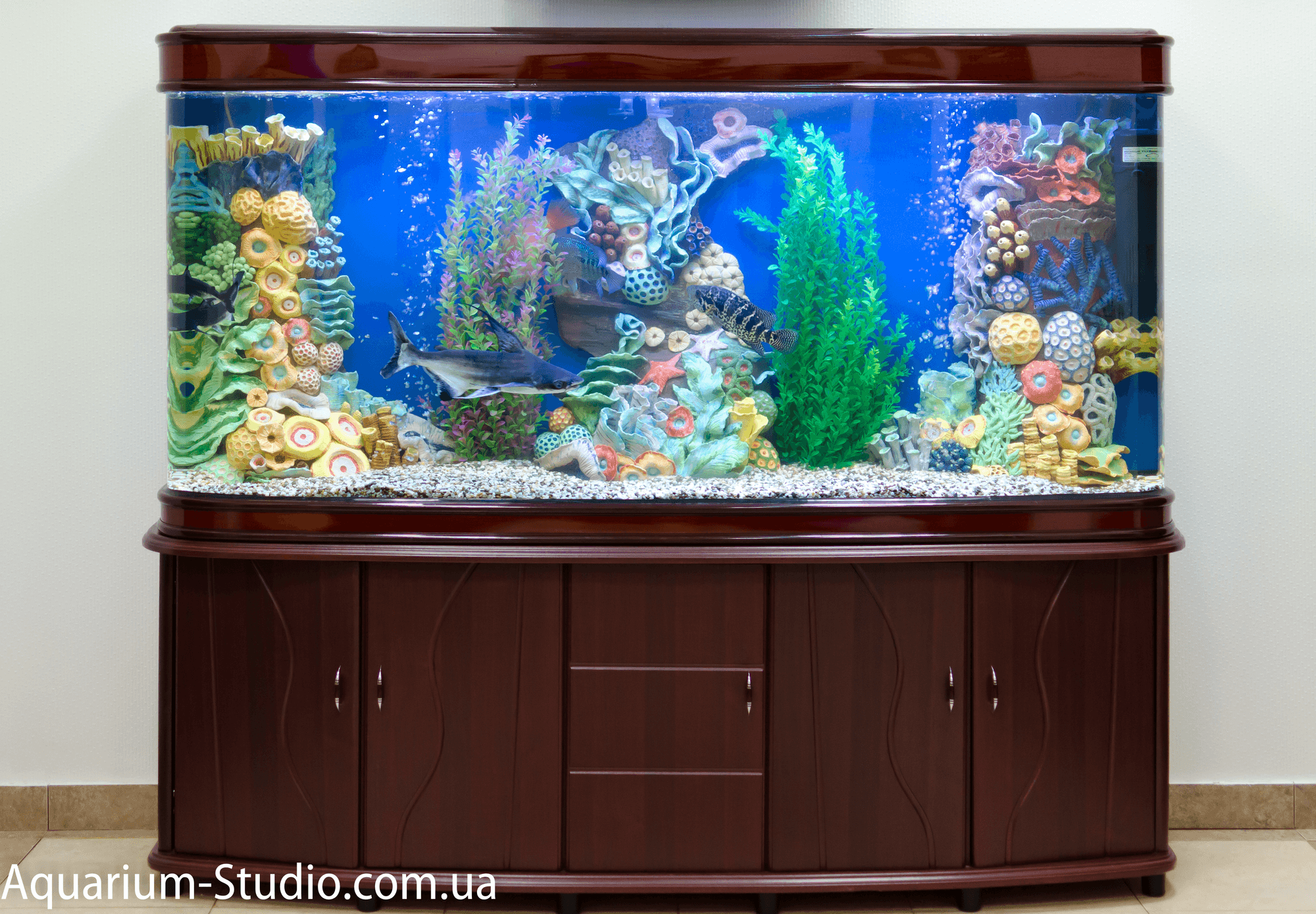 My Aquarium pseudo-sea. Finish - FishAngel Collection | OpenSea