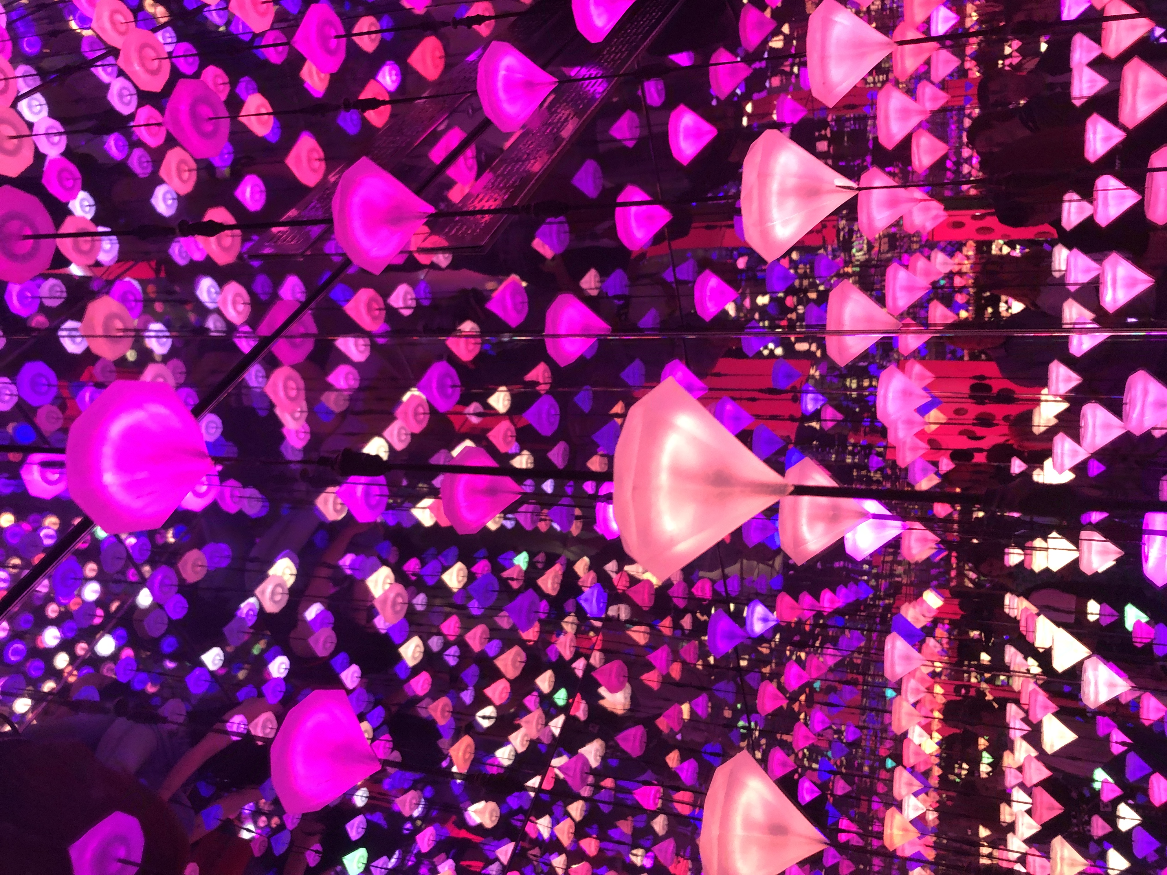Taartje banner