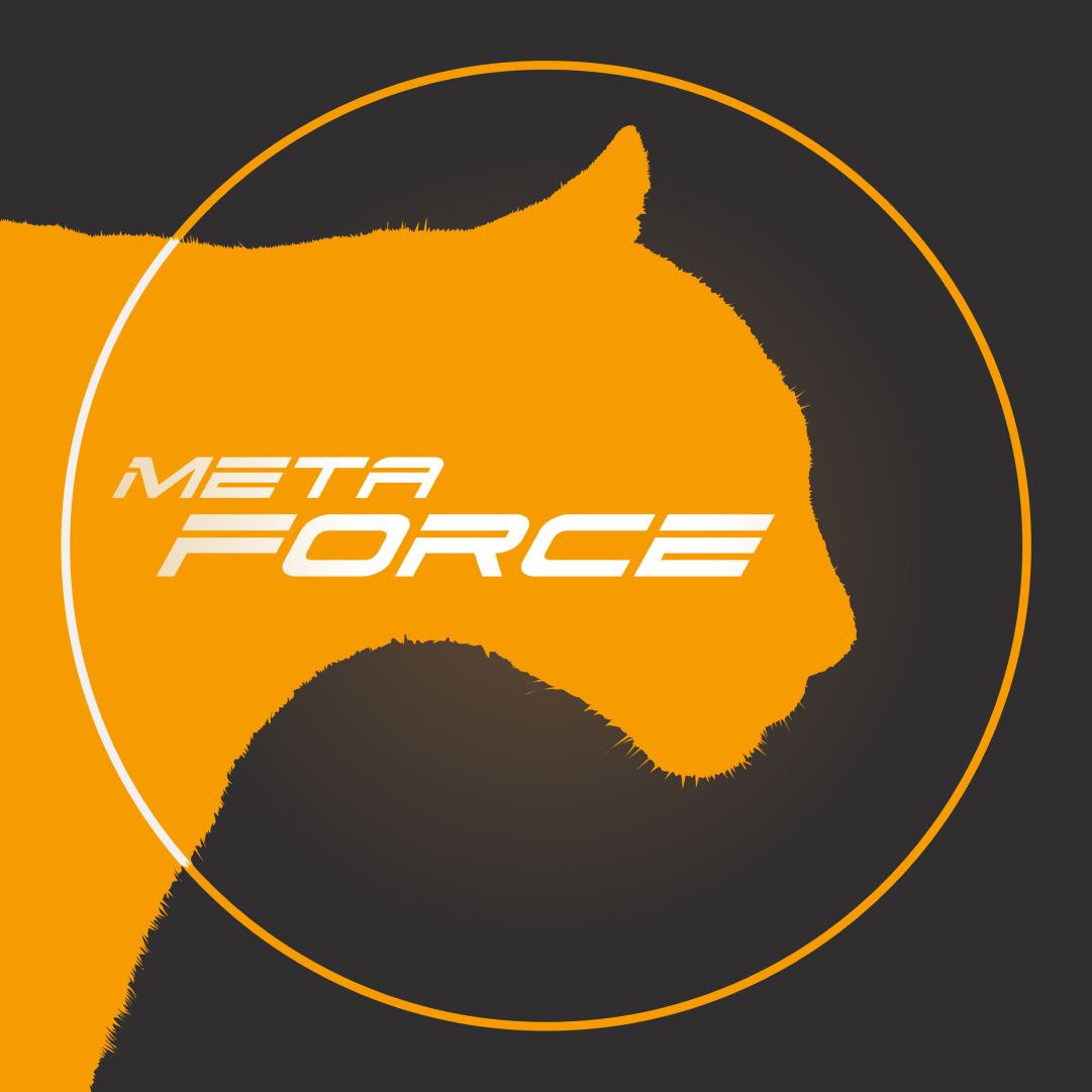 MetaForceSpace