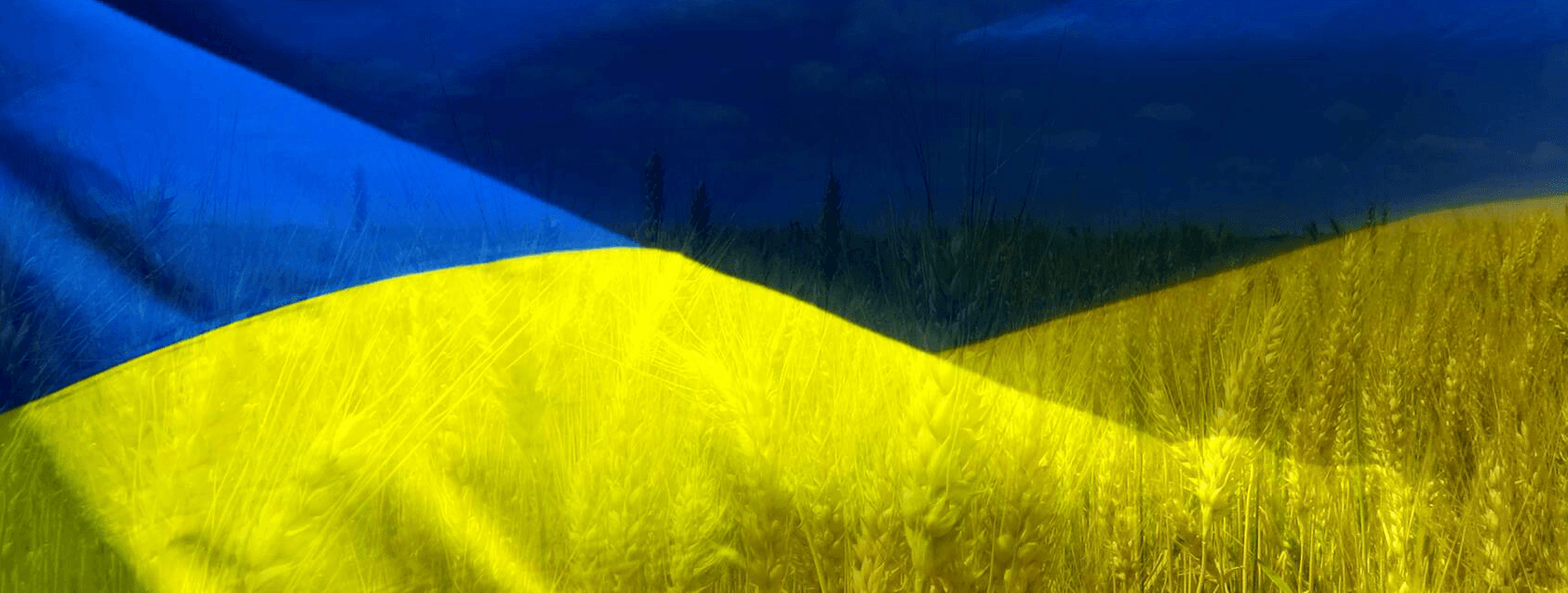 The war through the eyes of Ukrainian children