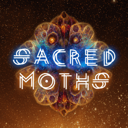 Sacred Moths collection image
