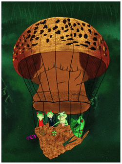 Hot air mushroom collection image