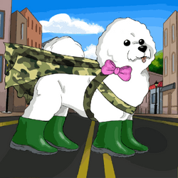 Snowly Dog collection image