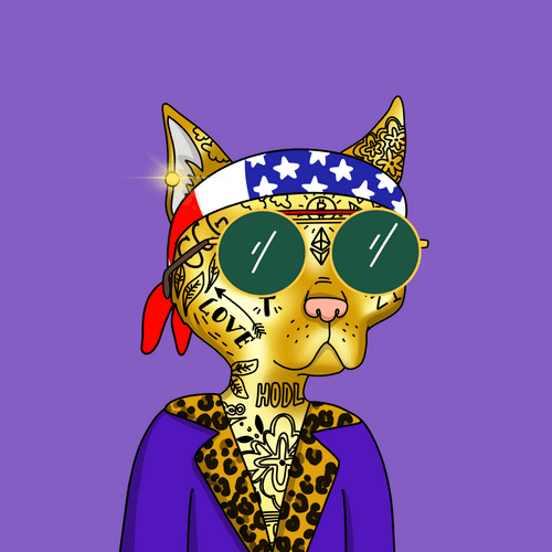 gutterdoctor.eth