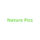 NaturePicNFT
