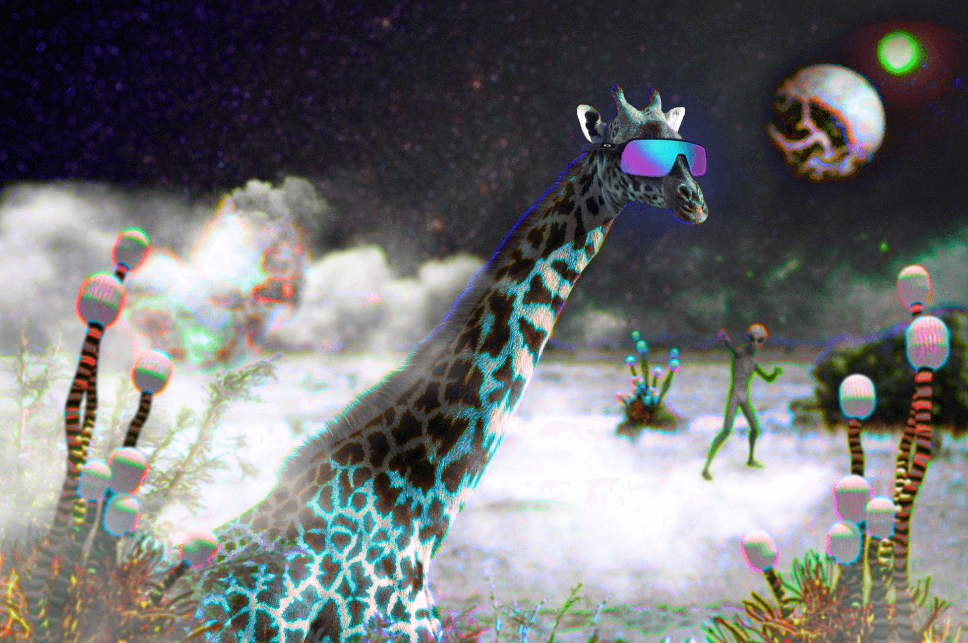 A Wild Cool Giraffe | v1