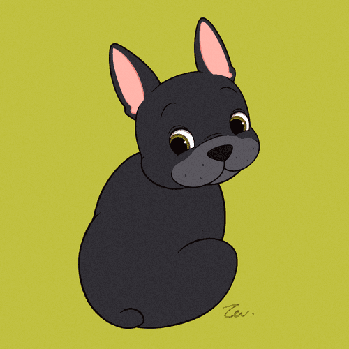 French Bulldog Black